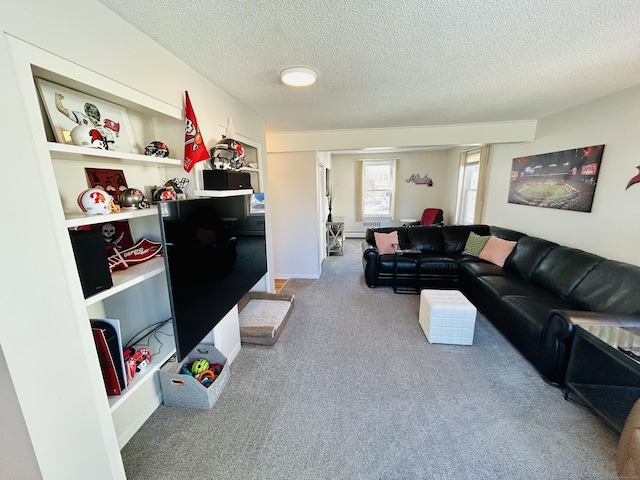 living area with carpet floors and a textured ceiling