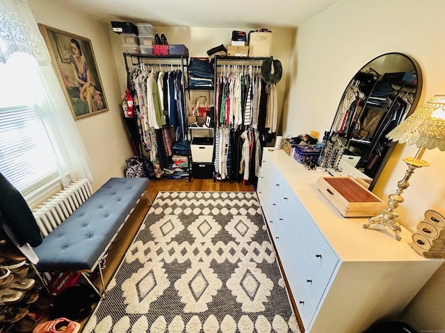 walk in closet featuring dark wood-style floors