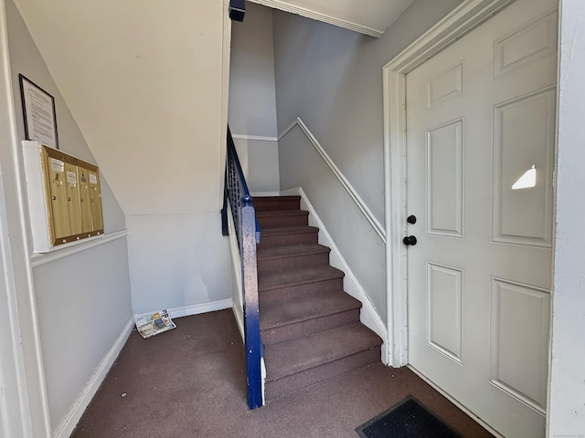 stairs with carpet flooring