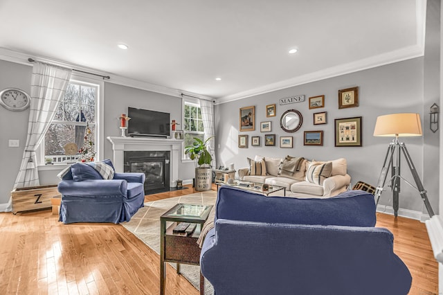 living room with hardwood / wood-style floors and ornamental molding