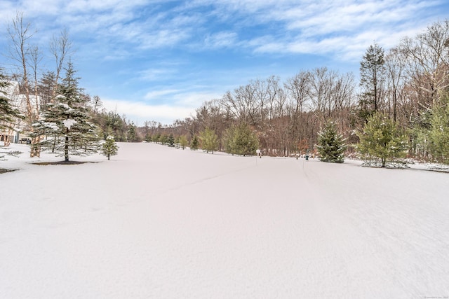 view of snowy yard