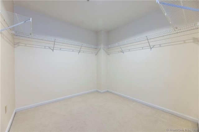 walk in closet with carpet floors