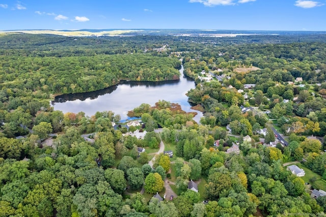 drone / aerial view with a water view and a view of trees