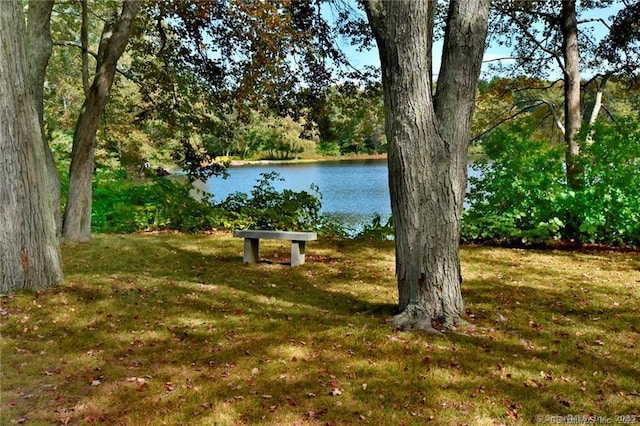 view of yard with a water view