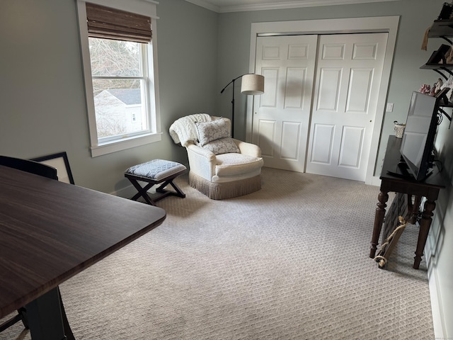 living area with light colored carpet