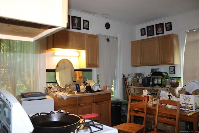 kitchen featuring light countertops, ornamental molding, brown cabinetry, and a sink