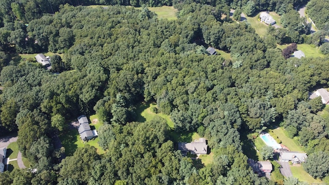 bird's eye view with a forest view