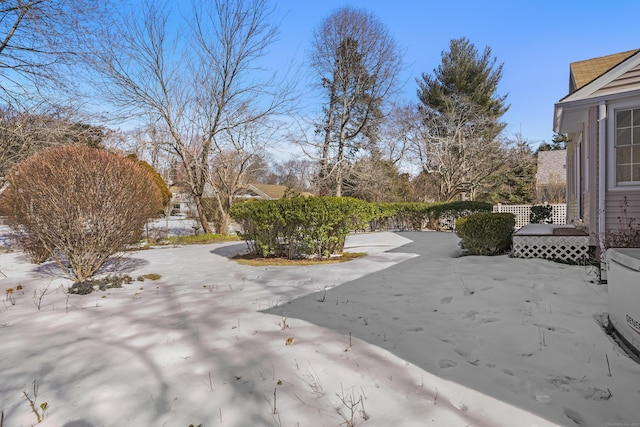 view of yard with a patio