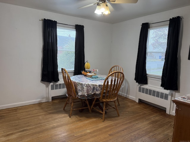dining space featuring a healthy amount of sunlight, light wood-type flooring, radiator, and ceiling fan