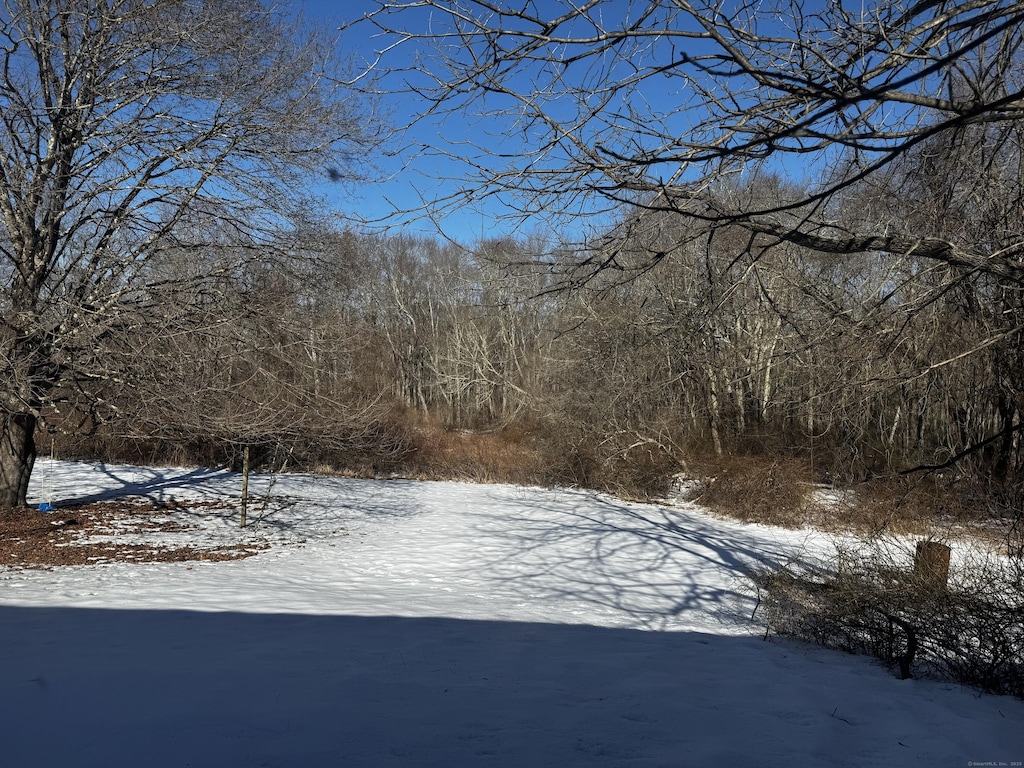 view of snowy yard