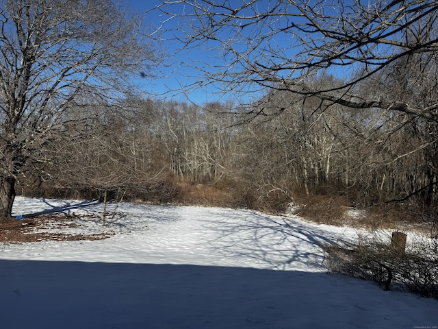 view of snowy yard