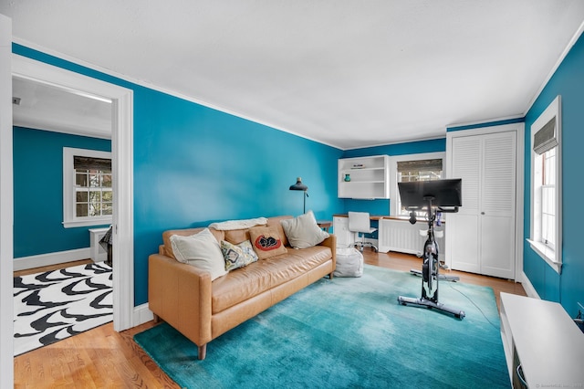 living room with baseboards and wood finished floors