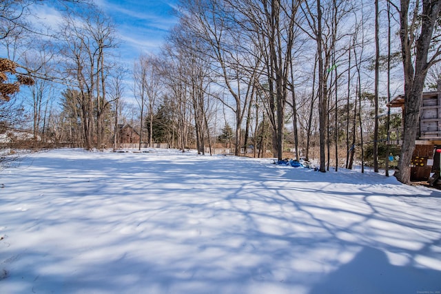 view of yard covered in snow