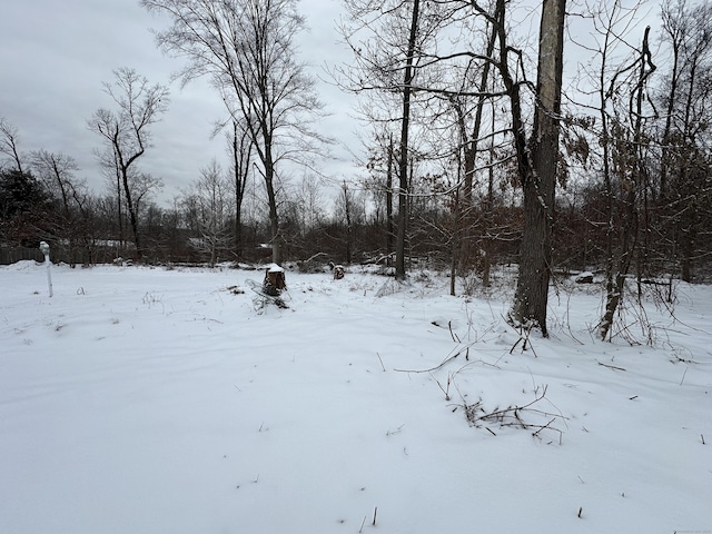 159 Tom Swamp Rd, Hamden, CT 06518 - yard layered in snow featuring a garage