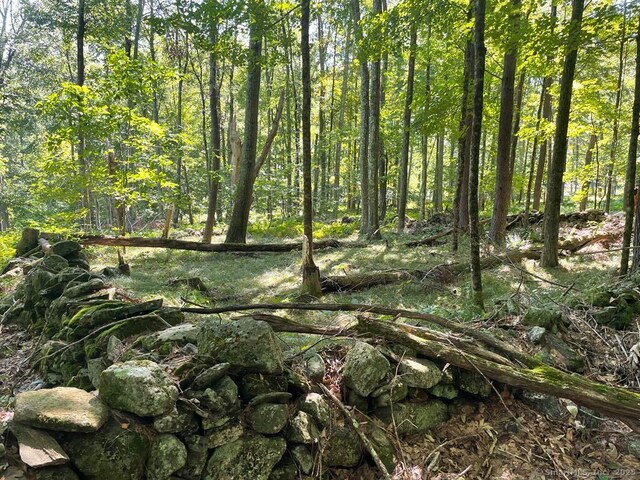 LOT0 Kozey Rd, Eastford, CT 06242 - photo 5