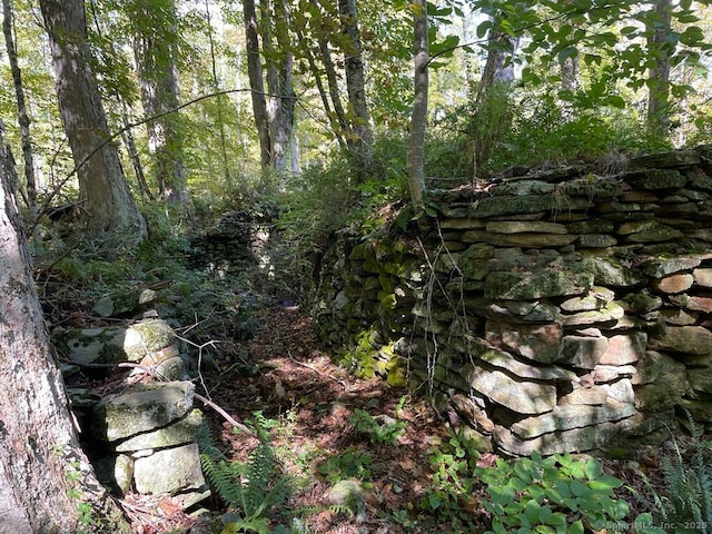 LOT0 Kozey Rd, Eastford, CT 06242 - photo 6