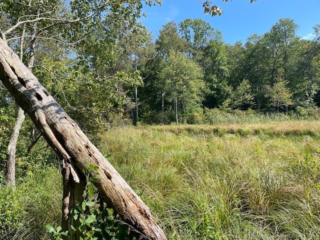 LOT0 Kozey Rd, Eastford, CT 06242 - photo 7