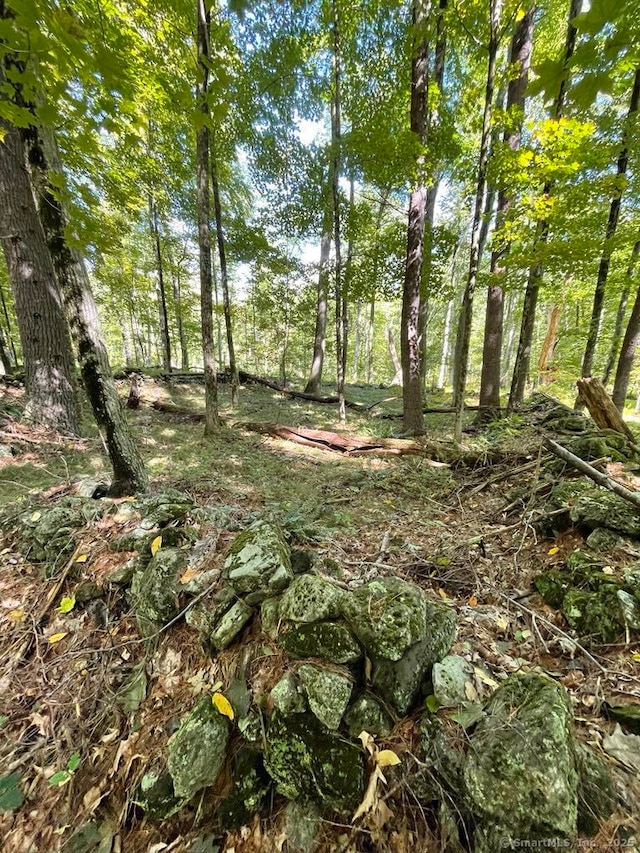 LOT0 Kozey Rd, Eastford, CT 06242 - photo 8