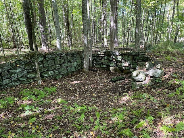 LOT0 Kozey Rd, Eastford, CT 06242 - photo 9