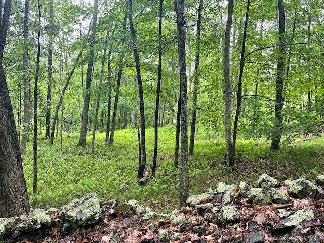 LOT0 Kozey Rd, Eastford, CT 06242 - photo 10