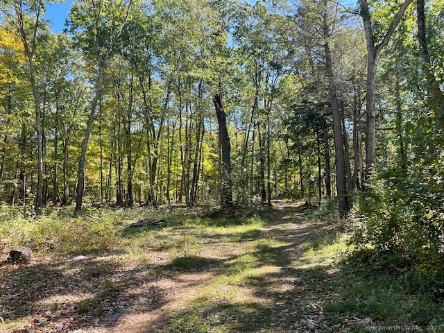 LOT0 Kozey Rd, Eastford, CT 06242 - photo 2