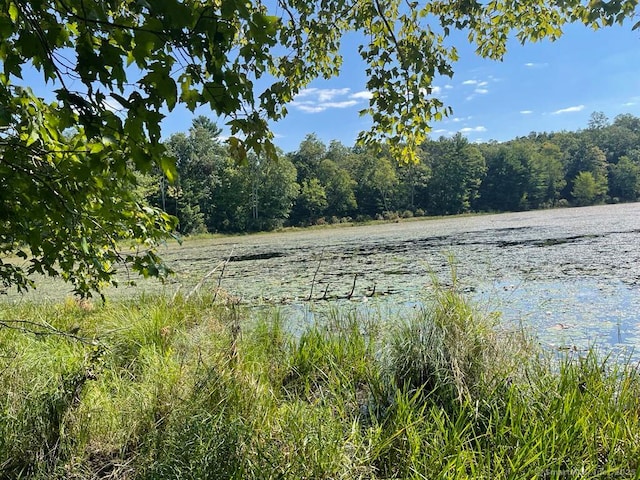 LOT0 Kozey Rd, Eastford, CT 06242 - photo 11