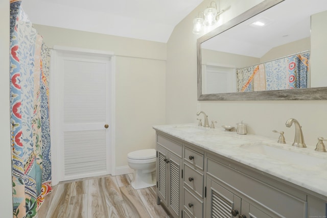 bathroom featuring double vanity, wood finished floors, a sink, and toilet