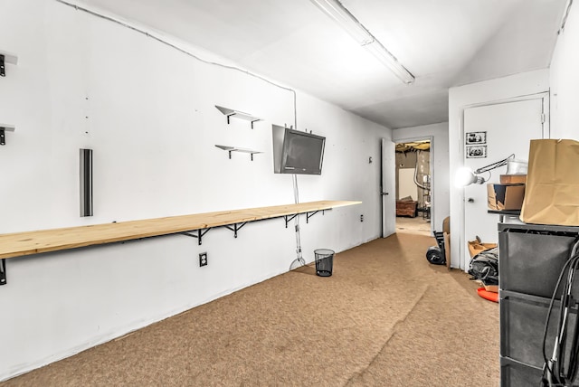 basement with carpet flooring