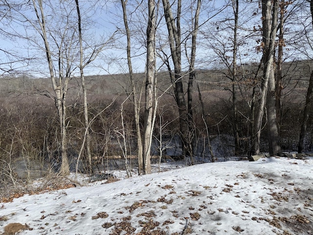 view of snowy landscape