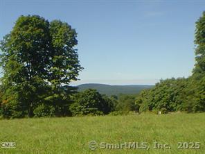 10 Candace Ct, New Milford, CT 06776 - photo 1