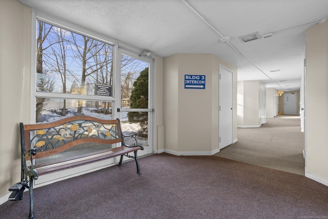 interior space with carpet floors, plenty of natural light, baseboards, and a textured ceiling