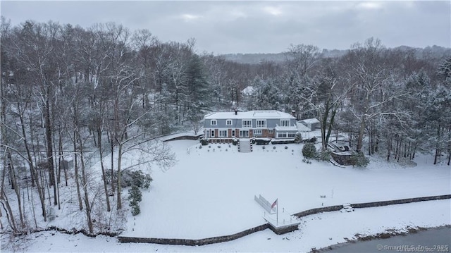 snowy aerial view featuring a view of trees