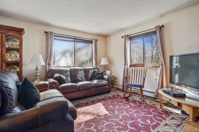 living room featuring a textured ceiling and wood finished floors