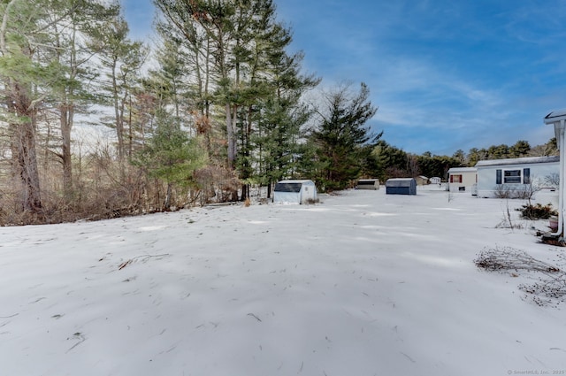 snowy yard featuring a shed