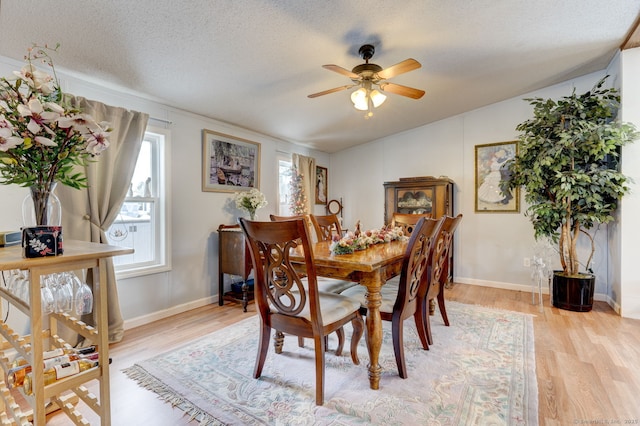 dining space with light wood finished floors, ceiling fan, a textured ceiling, and a wealth of natural light