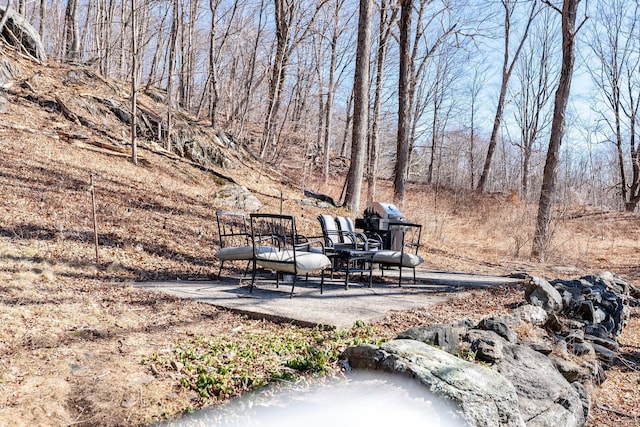 view of yard featuring a patio area