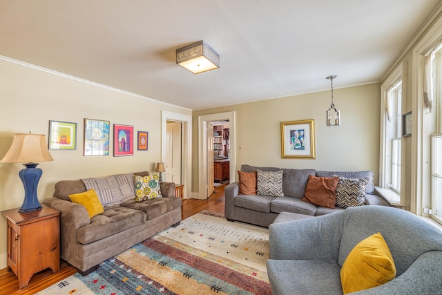 living room with ornamental molding and wood finished floors