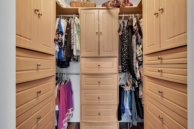 view of closet