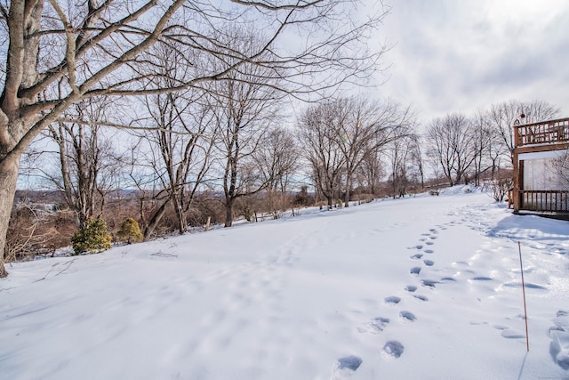 view of yard layered in snow