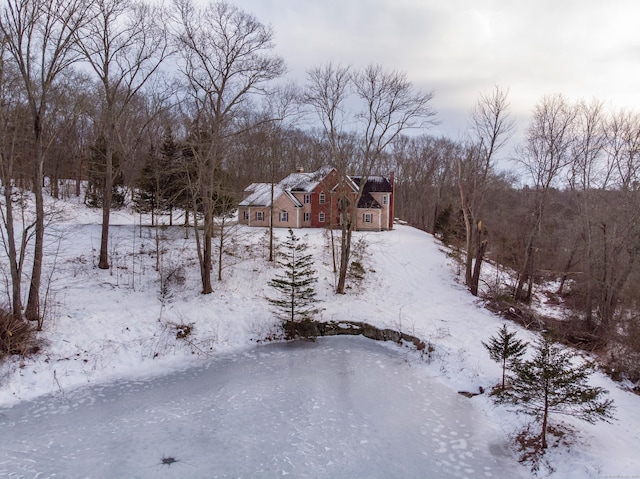 yard layered in snow with a forest view