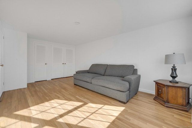 living room featuring light wood-style flooring