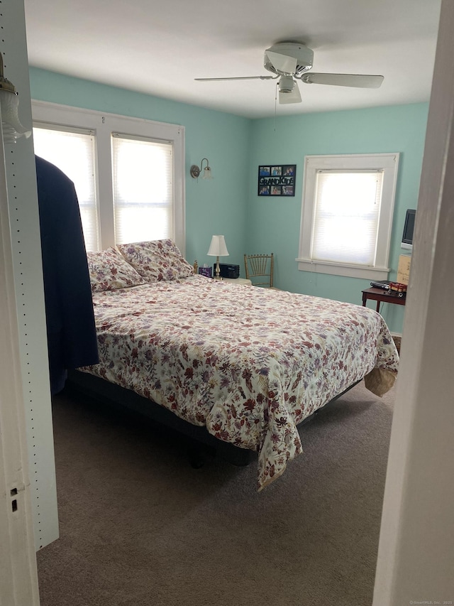 bedroom featuring multiple windows, dark carpet, and a ceiling fan