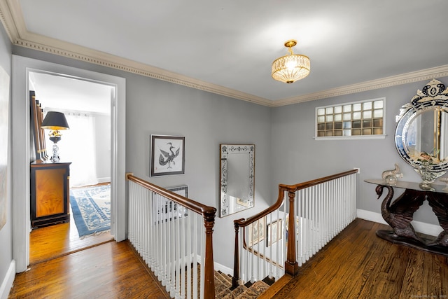 corridor with a healthy amount of sunlight, dark wood finished floors, and an upstairs landing