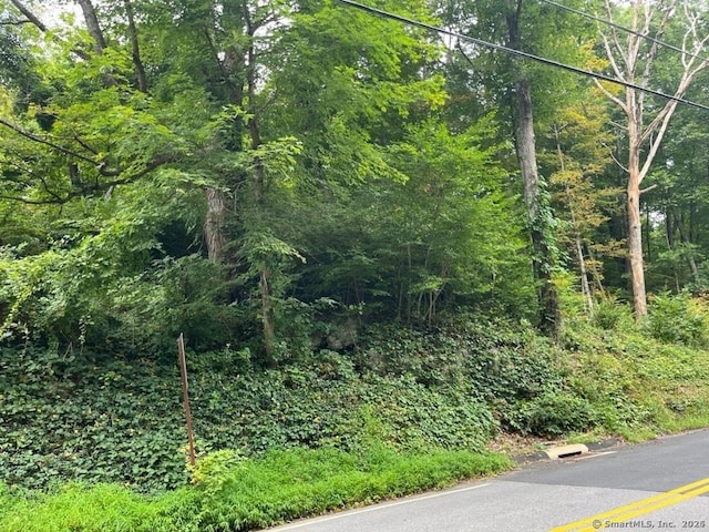 view of local wilderness featuring a forest view