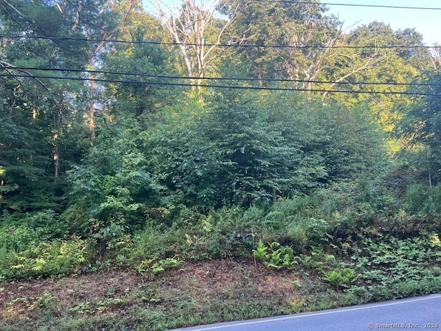 view of yard featuring a view of trees