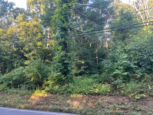 view of yard with a view of trees