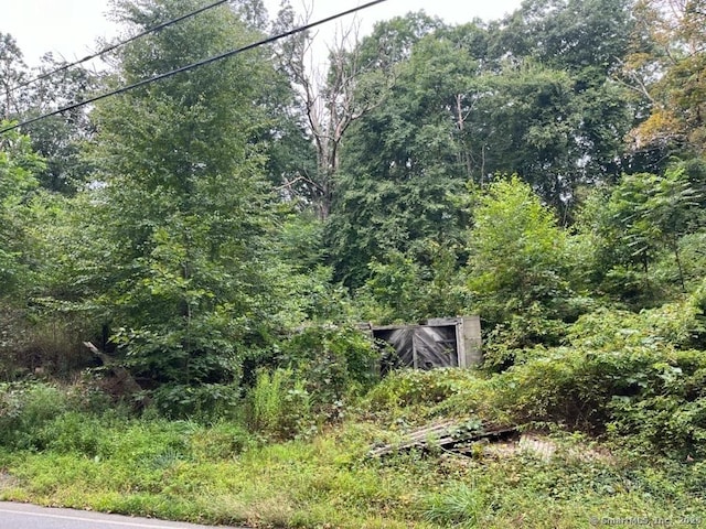 view of nature featuring a view of trees