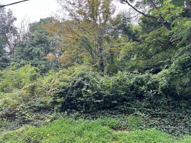 view of local wilderness featuring a wooded view