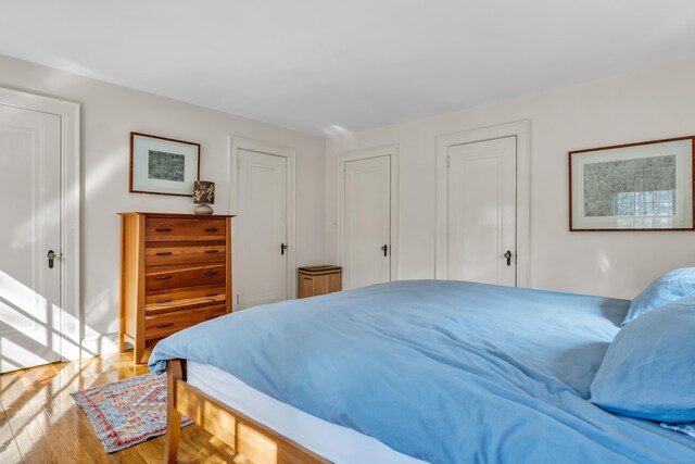 bedroom featuring multiple closets and wood finished floors