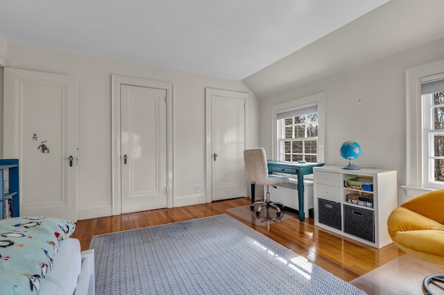 interior space with multiple windows, multiple closets, and wood finished floors